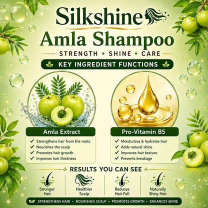 Silkshine Amla Family Pack Combo | 500ml + Free 100ml Herbal Shampoo